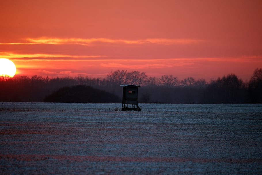 Sunset, Winter, Snow, ansitz, hunting seat, wintry, afterglow HD wallpaper