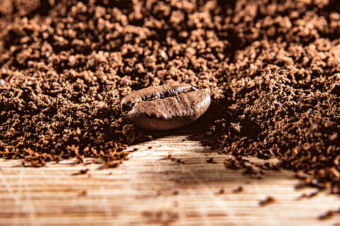 coffee, powder, bean, benefit from, food, grains, macro, close HD wallpaper
