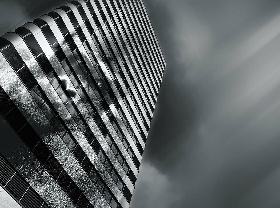 skyscraper, animal, gorilla, lightshow, lights show, protest HD wallpaper