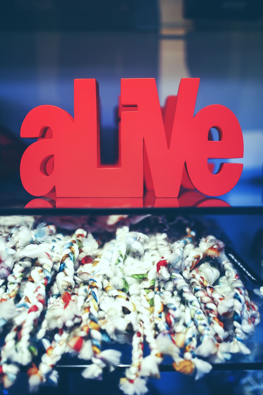 alive, decoration, interior, design, inscription, typo, typog HD wallpaper
