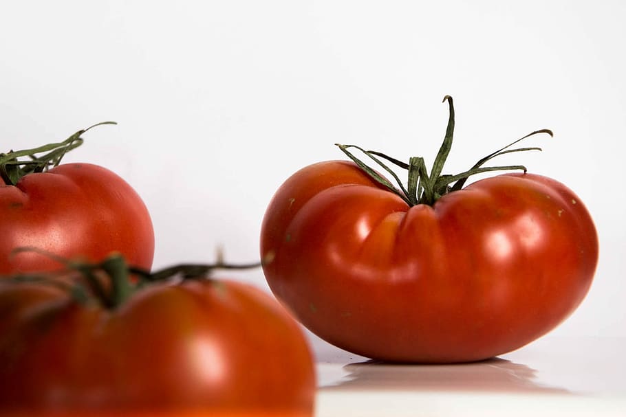Tomato, Fruit, Vegetables, Red, Garden, power, food and drink HD wallpaper