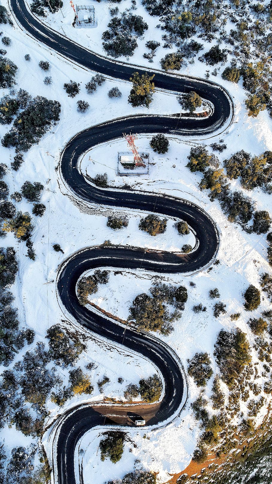 black road near trees at daytime, trees covered by snow, curve HD wallpaper
