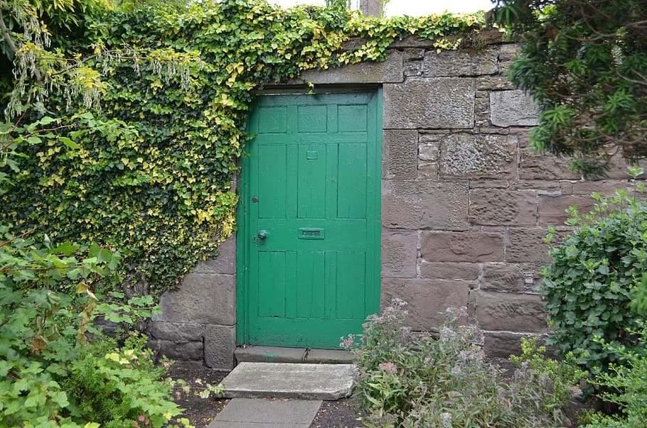 Door, Nature, Wall, Input, green, completed, garden, green color HD wallpaper