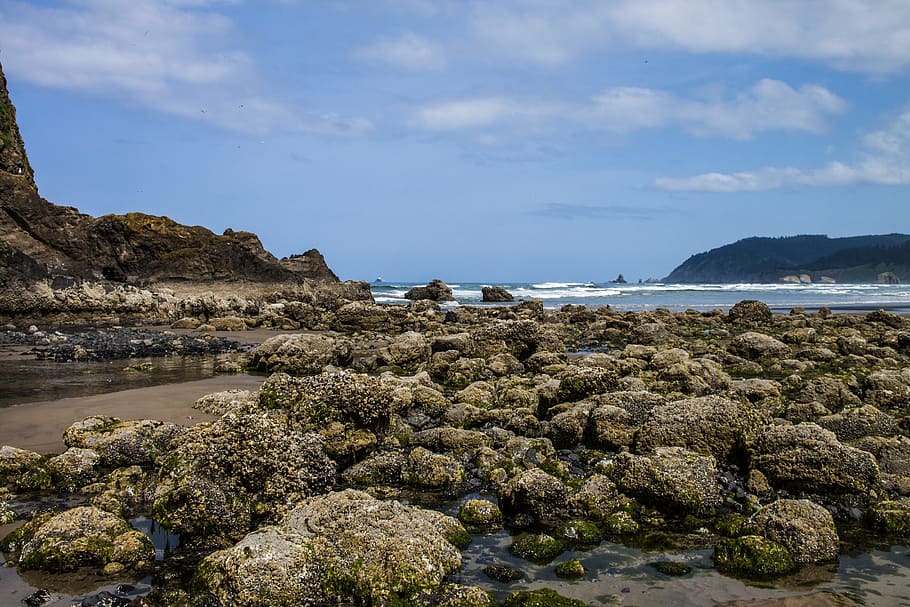 Cannon, Beach, Tidepools, Rocks, Oregon, waves, pacific, northwest HD wallpaper