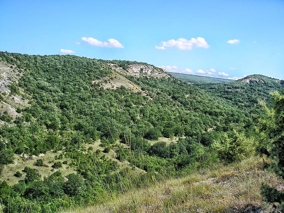crimea, landscape, scenic, mountains, forest, trees, woods HD wallpaper