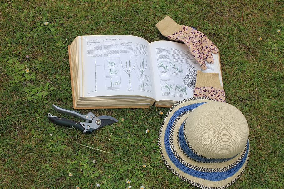 gardening, book, sun hat, garden gloves, spring, summer, season, HD wallpaper