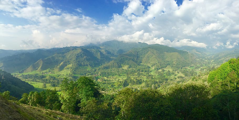 mountains, landscape, nature, forest, natural, light, tree HD wallpaper