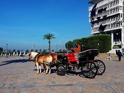 izmir, turkey, mansion, ege, square, horse-drawn carriage, architecture HD wallpaper