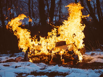 close-up of bonfire surrounded by trees, burning, house, snowy HD wallpaper