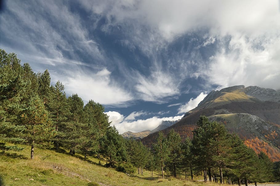 nature photography of tree and mountain at daytime, pyrénées, HD wallpaper