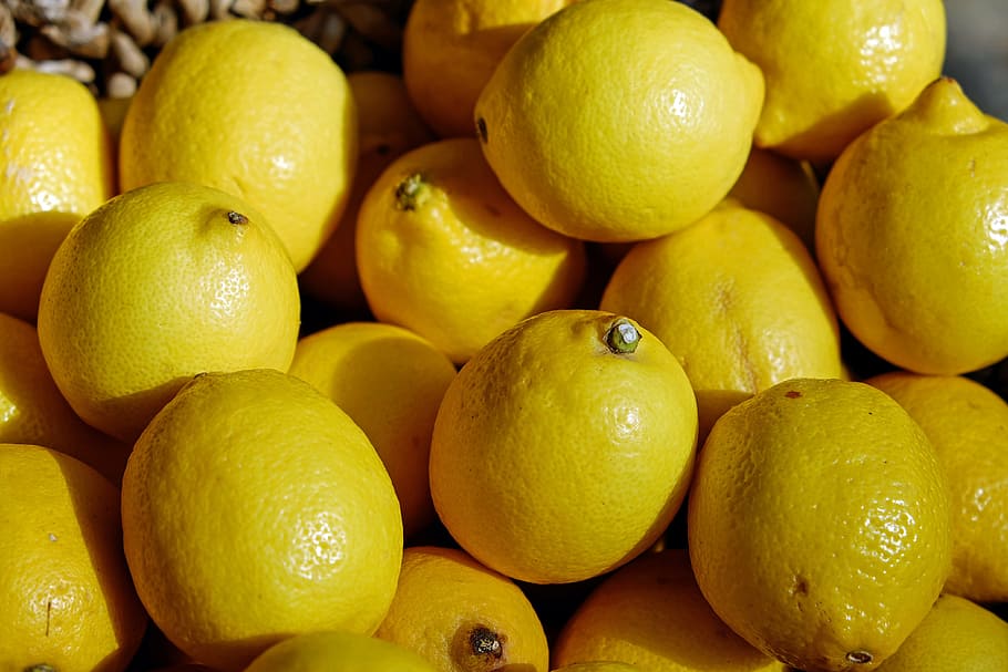 Lemon fruits, lemons, yellow, tart, refreshment, citrus fruits HD wallpaper