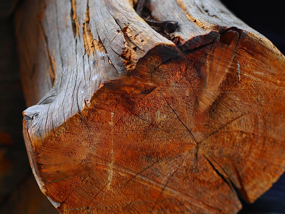 wood, tree, cut, finland, old, rustic, nature, timber, log HD wallpaper
