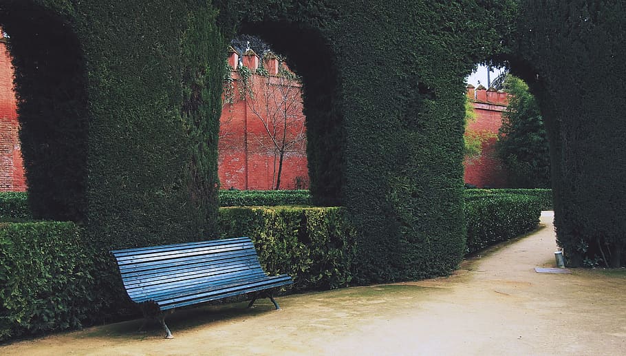 blue and brown wooden bench on park at daytime, courtyard, shrubs HD wallpaper