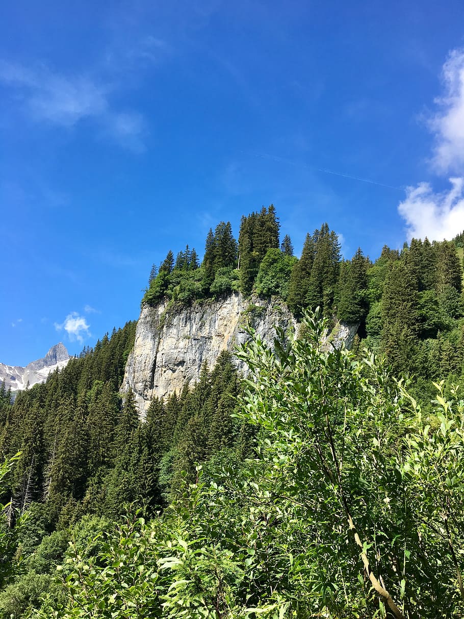 Forest, Mountains, Sky, Landscape, nature, rock, clouds, glarus HD wallpaper