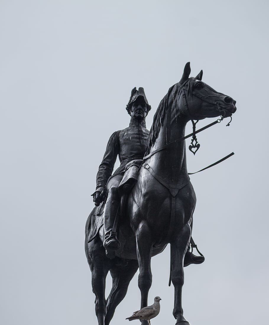 sky, bird, statue, monument, avian, cavalry, equestrian, horse HD wallpaper