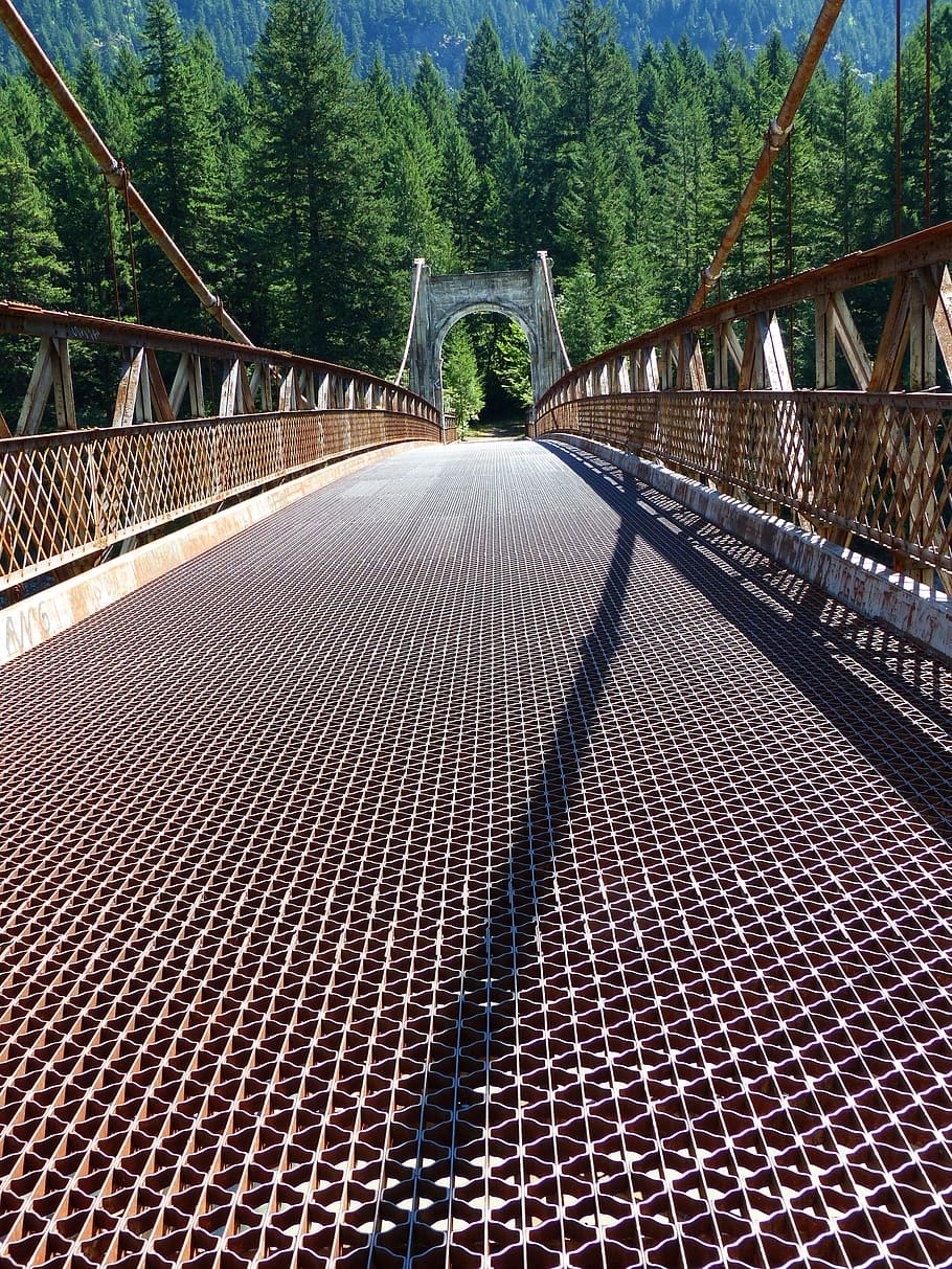 gray and brown concrete bridge near forest, alexandra bridge HD wallpaper