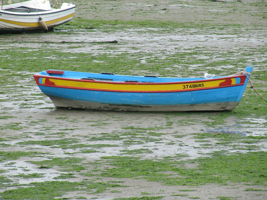 ebb, boot, holiday, ship, fishing boats, port, nautical vessel HD wallpaper