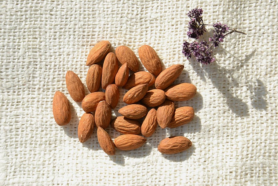 brown peanuts on white paper, almond, kernel, products, healthy foods HD wallpaper