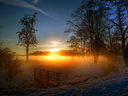 photography of sunset and trees, evening, bridge, romantic HD wallpaper