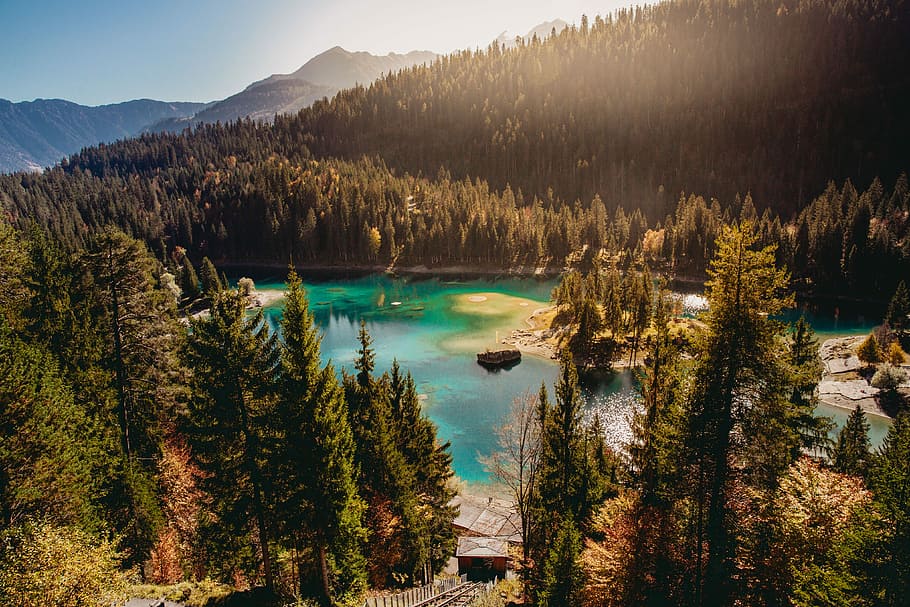 river surrounded by trees, ship docked beside forest, lake, water HD wallpaper