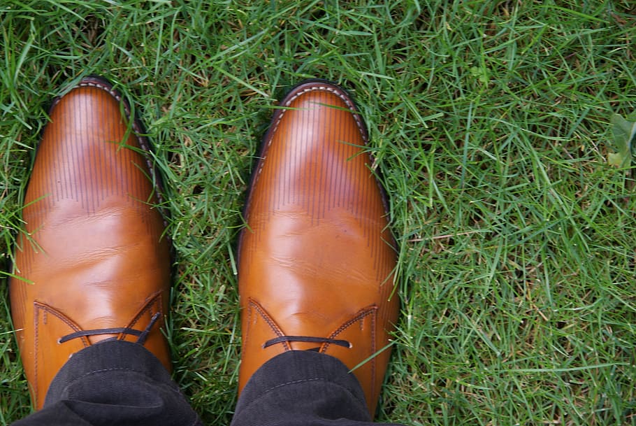 Shoe, Lace, Brown, grass, low section, human body part, human leg HD wallpaper