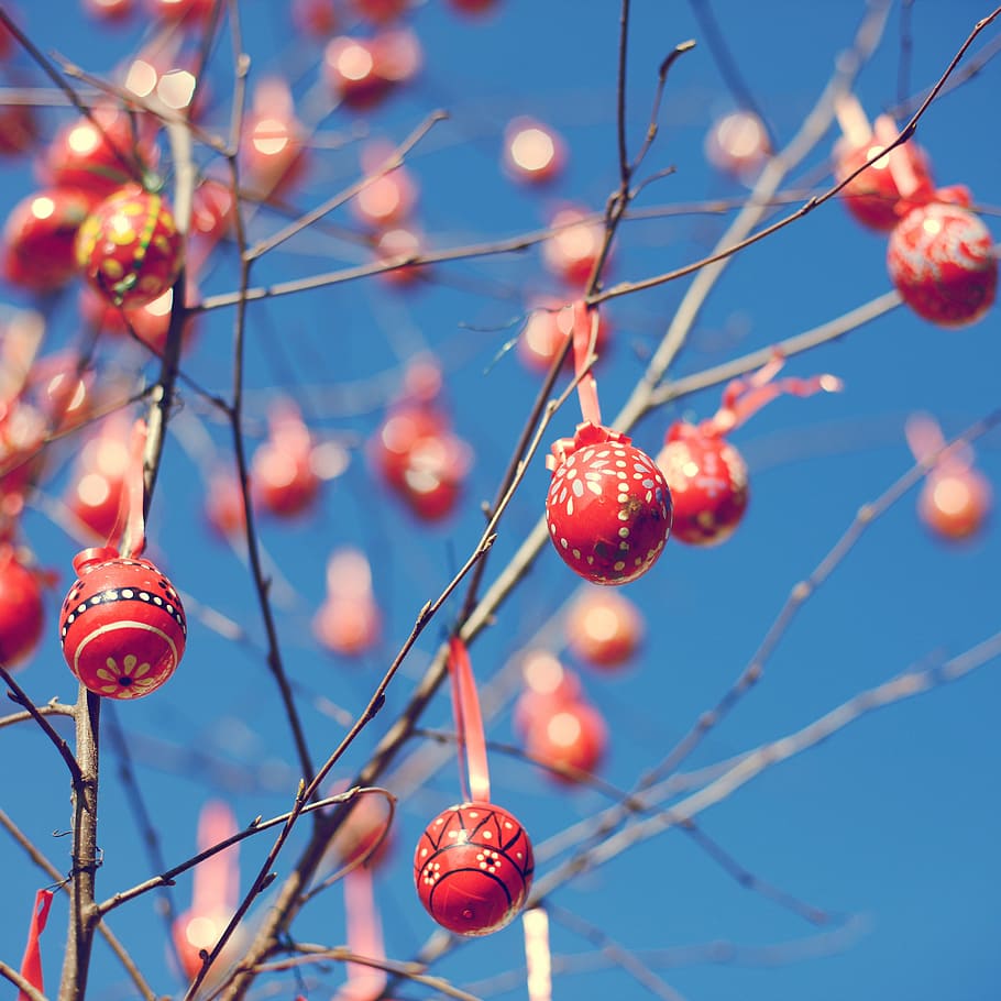 selective focus photograph of red bauble balls on branches HD wallpaper