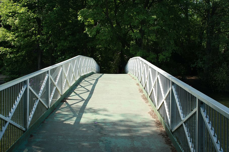 bridge, park, building, plant, tree, the way forward, railing HD wallpaper