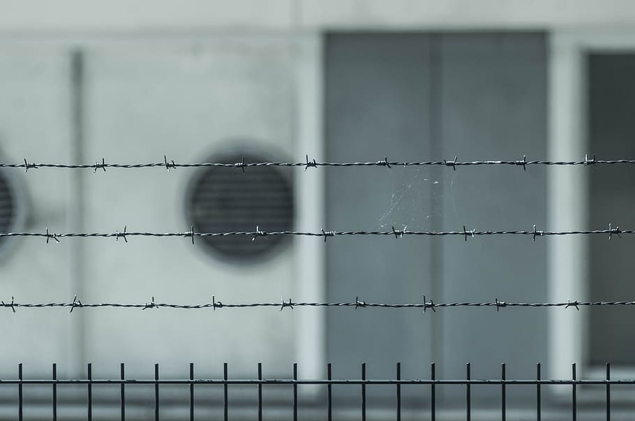 gray barb wire on top of black metal fence, prison, barrier HD wallpaper