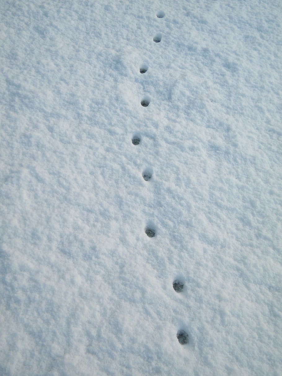 brands, snow, treads, cold, winter, white, hole, no people HD wallpaper