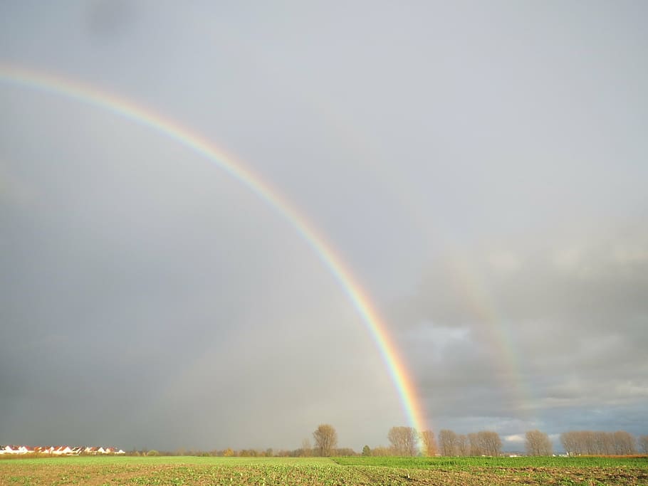 rainbow, trees, colorful, scenic, effect, landscape, meteorology HD wallpaper