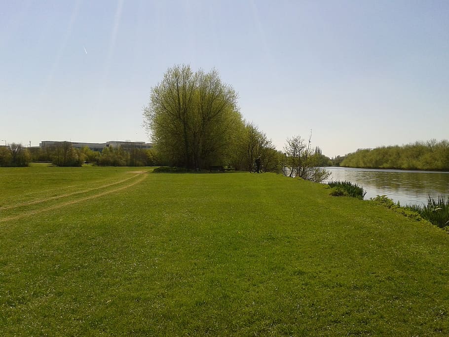 river, park, grass, field, cyclist, spring, outdoors, plant HD wallpaper