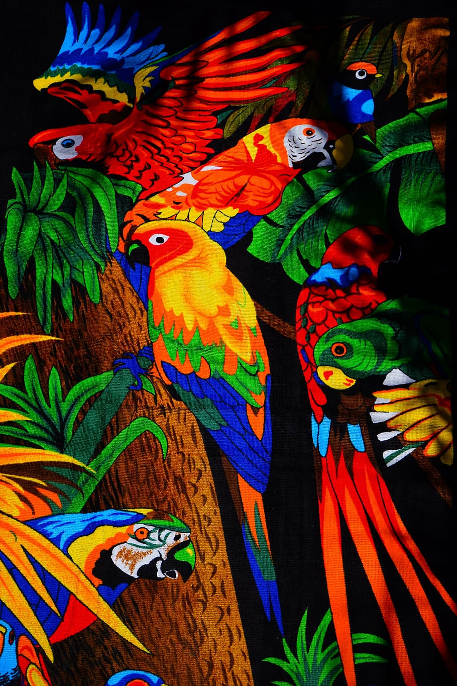 parrots, aras, lori, parakeet, birds, towel, bath towel, colorful HD wallpaper