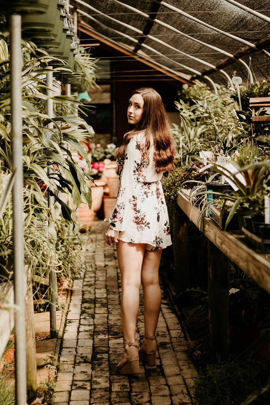 untitled, greenhouse, woman, female, portrait, brown hair, looking back, HD wallpaper