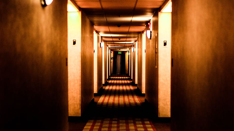 empty brown lighted hallway, Hotel, Fear, Orange, Hall, vanishing point, HD wallpaper