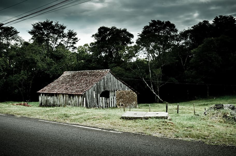old, shed, barn, farm, countryside, rural, tree, plant, built structure HD wallpaper