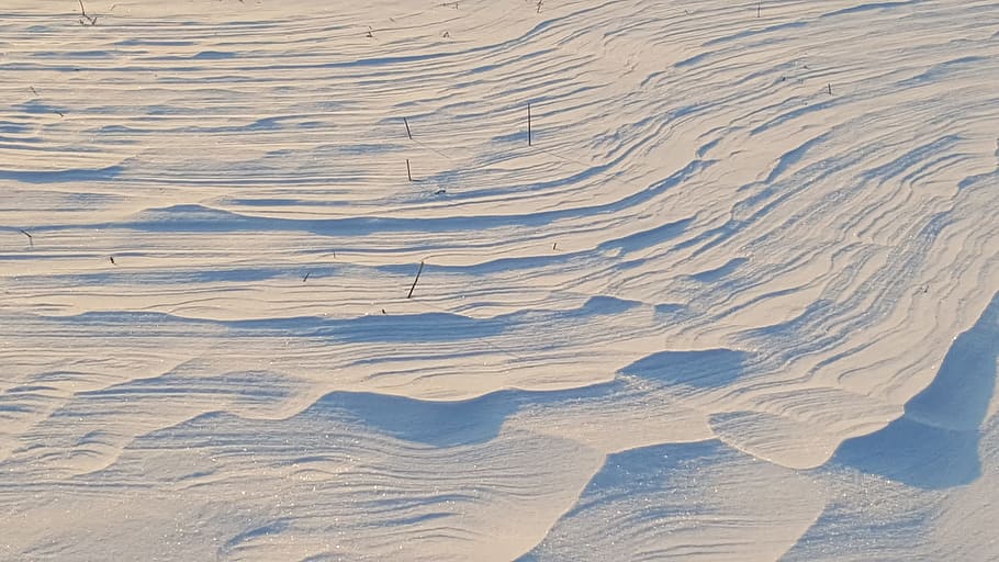 winter, snow, dune, wind, wintry, mood, snow tracks, arctic HD wallpaper
