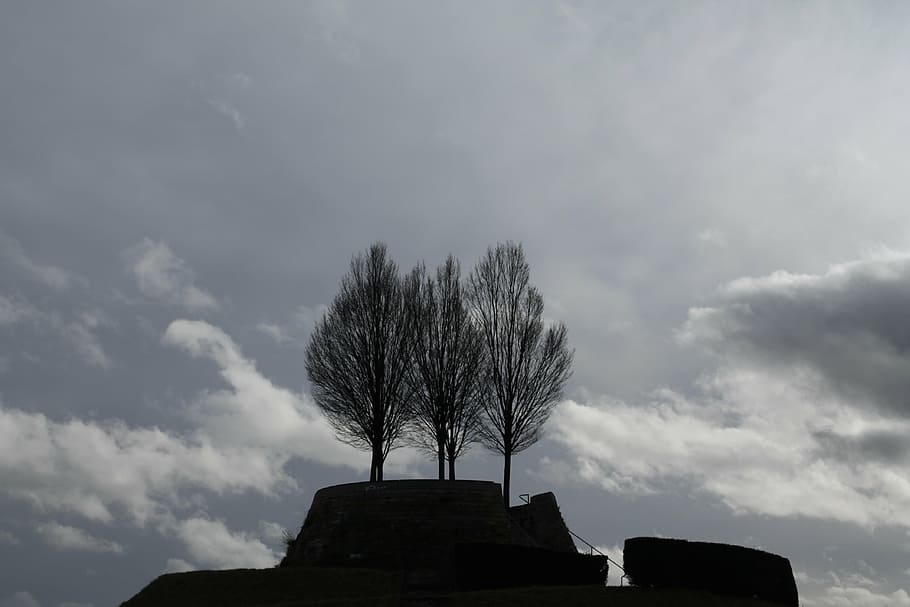 winter, trees, kahl, grey, silhouettes, sky, cloud - sky, architecture HD wallpaper