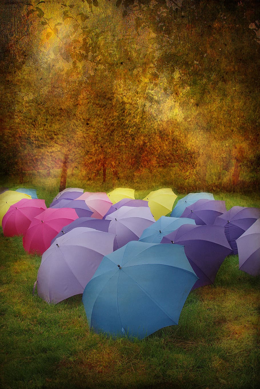 ilminster, somerset, uk umbrellas, colour, colourful, england, HD wallpaper
