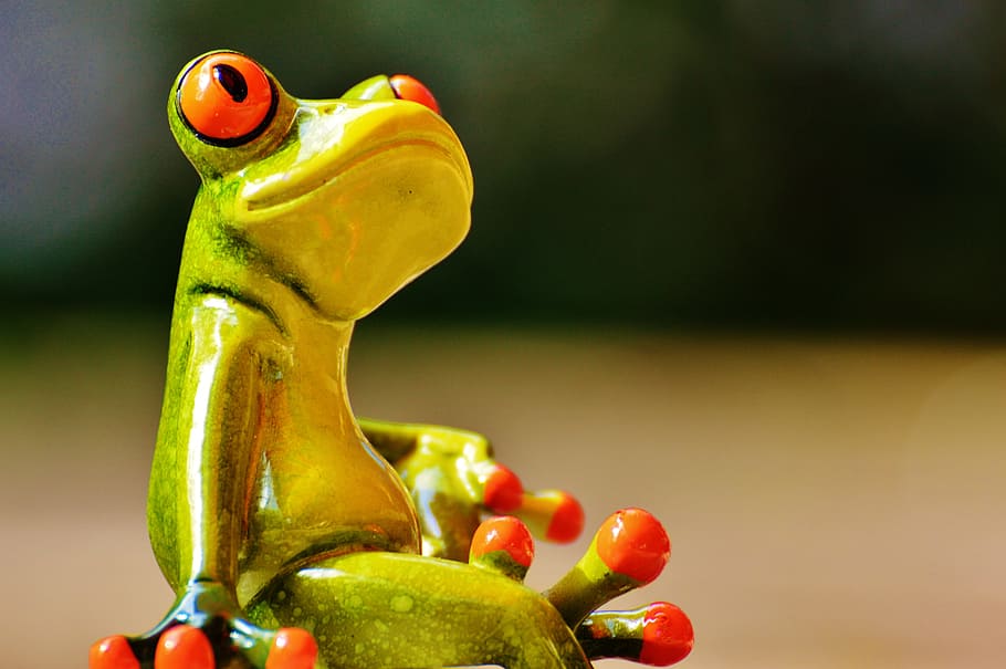 closeup photography of green and yellow ceramic figurine, frog HD wallpaper