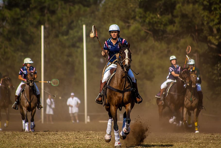 group of people playing polo game, sport, horse, polo cross, horseback