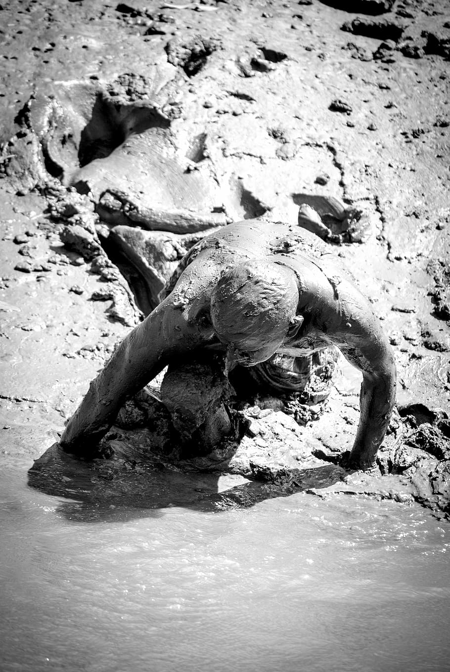 mud, man, water, human, person picking crab, day, no people HD wallpaper