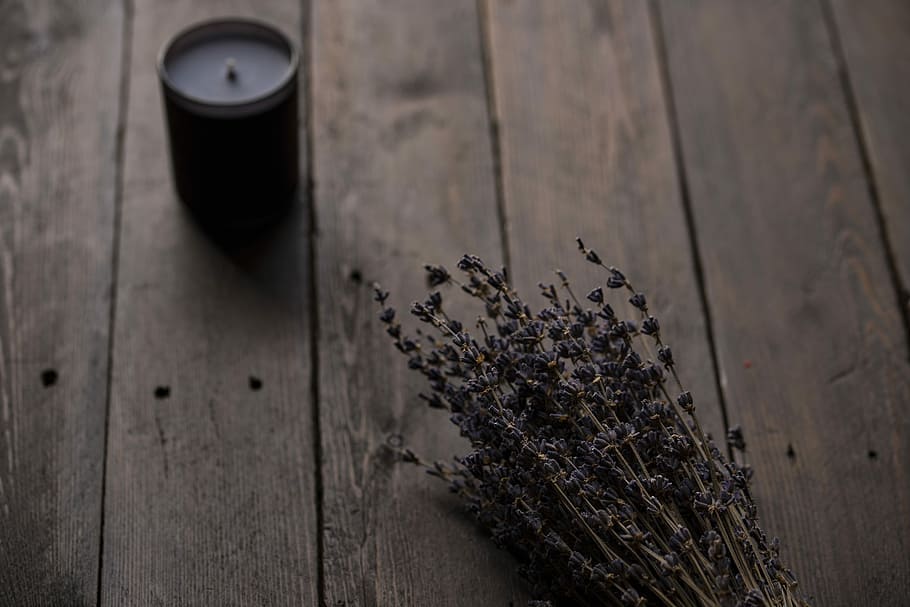brown twigs near black container, lavender on brown wooden floor, HD wallpaper