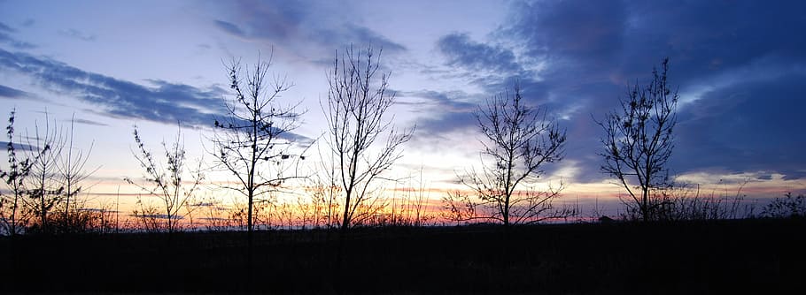 sunset, color, cloud, wood, clump, sky, cloud - sky, scenics - nature HD wallpaper