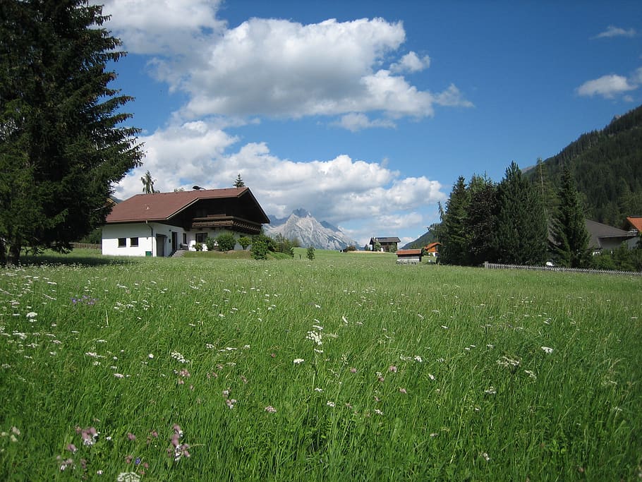 meadow, home, nature, clouds, field, landscape, plant, built structure HD wallpaper