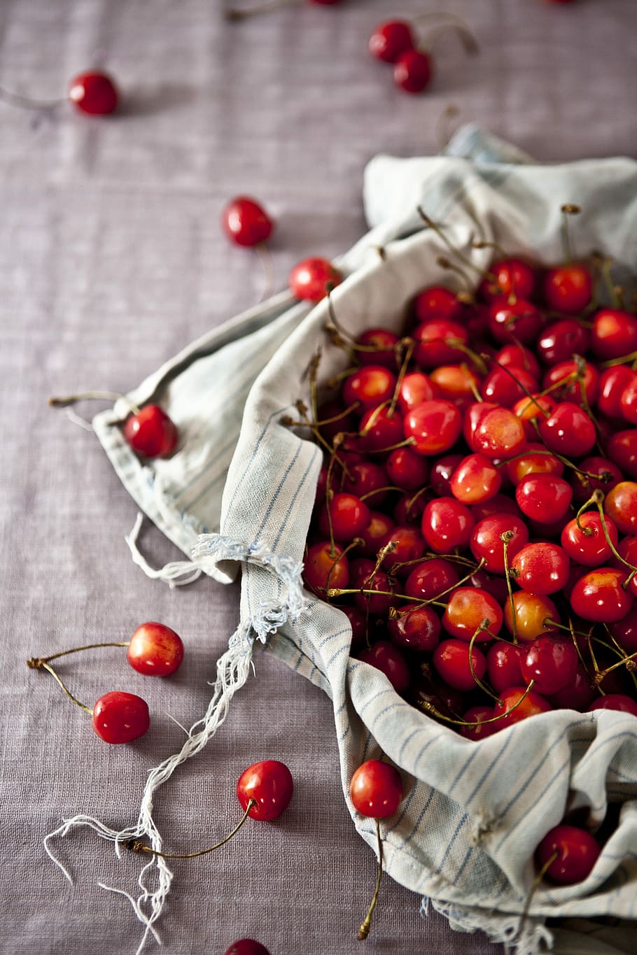 shallow focus photography of cherry fruits, selective photo of bundle of red cherries HD wallpaper