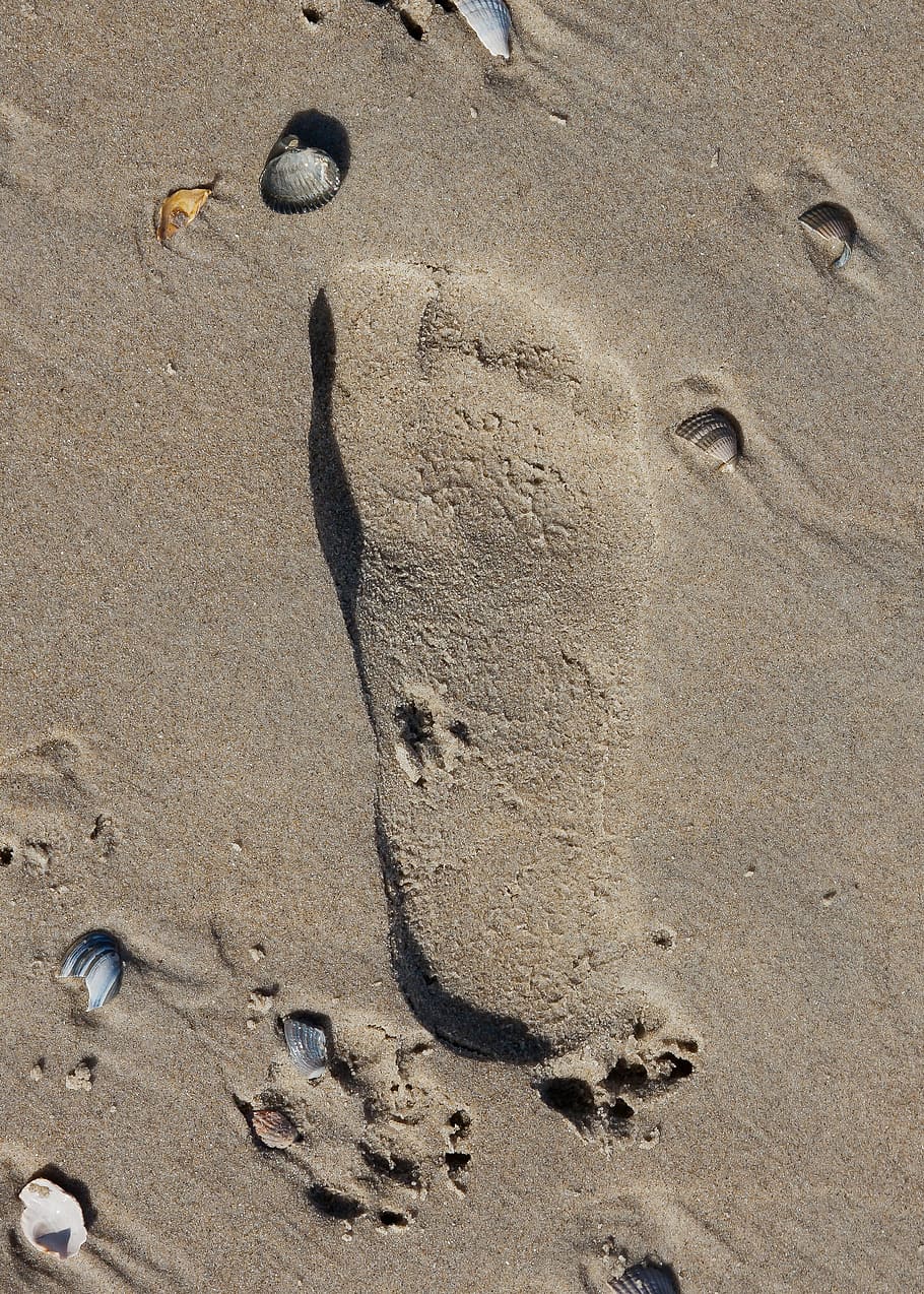 sand, beach, footprint, holiday, wet, water, sand sculpture, HD wallpaper