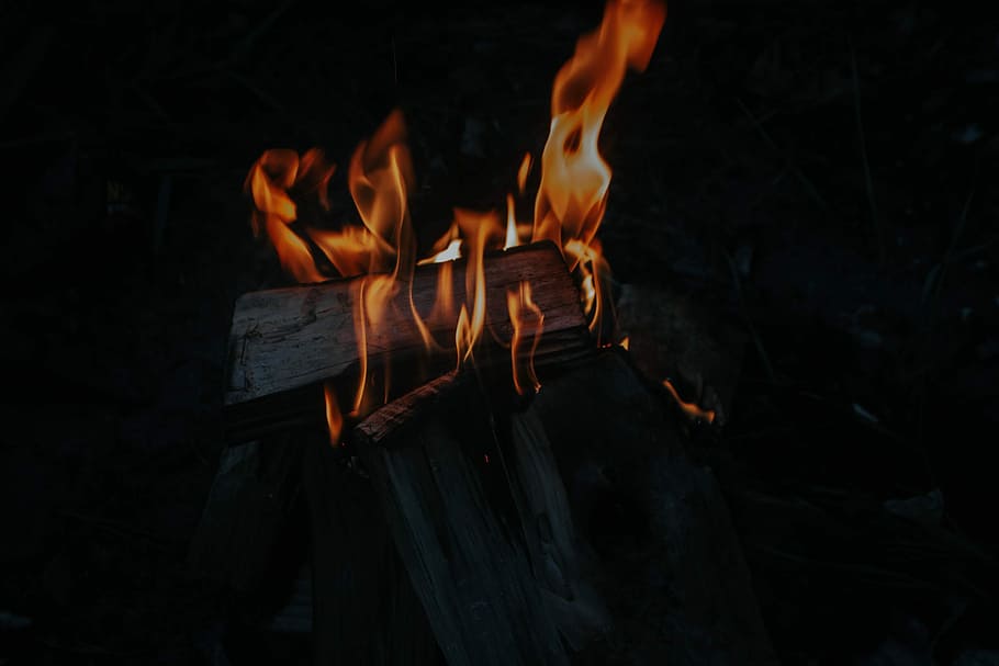 burning firewoods, brown wood on fire, travel, camping, campfire HD wallpaper