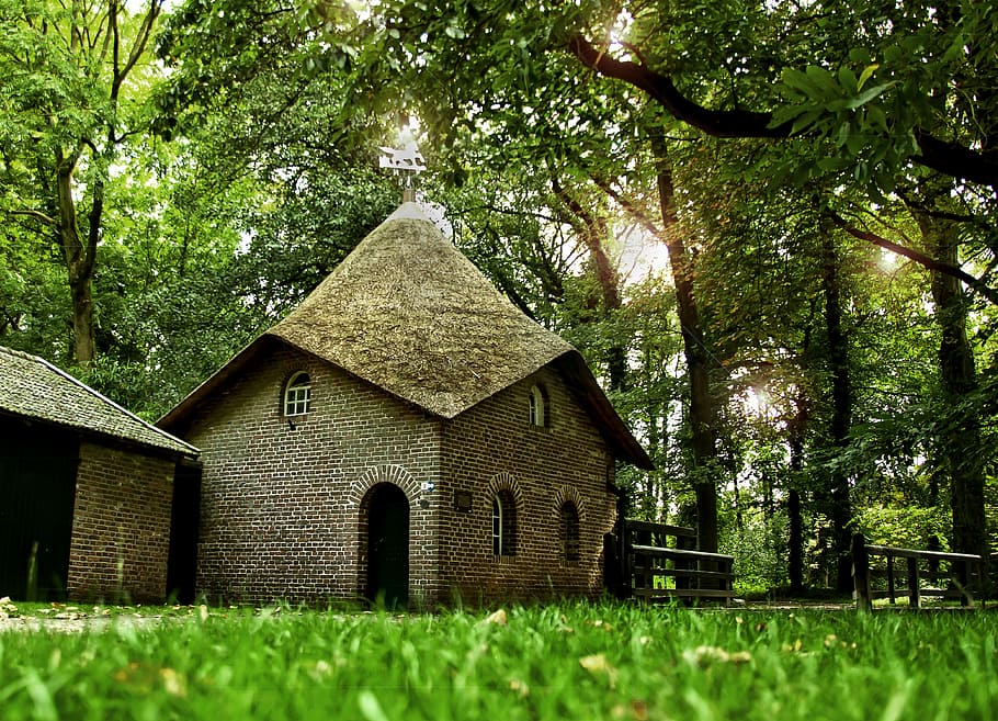 brown concrete house under tree, water mill, rush, below, forest HD wallpaper