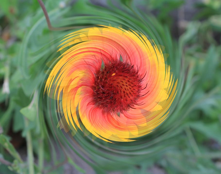 Flower, Abstract, Creativity, eddy, close-up, multi colored HD wallpaper