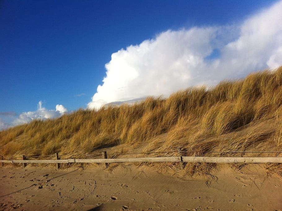 dunes, clouds, beach, sky, cloud - sky, land, sand, landscape HD wallpaper